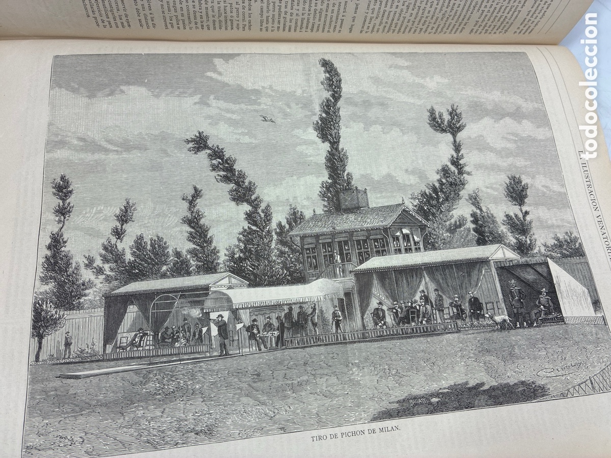 Libros antiguos: La Ilustraci&oacute;n Venatoria. A&ntilde;o 1883. - Foto 23