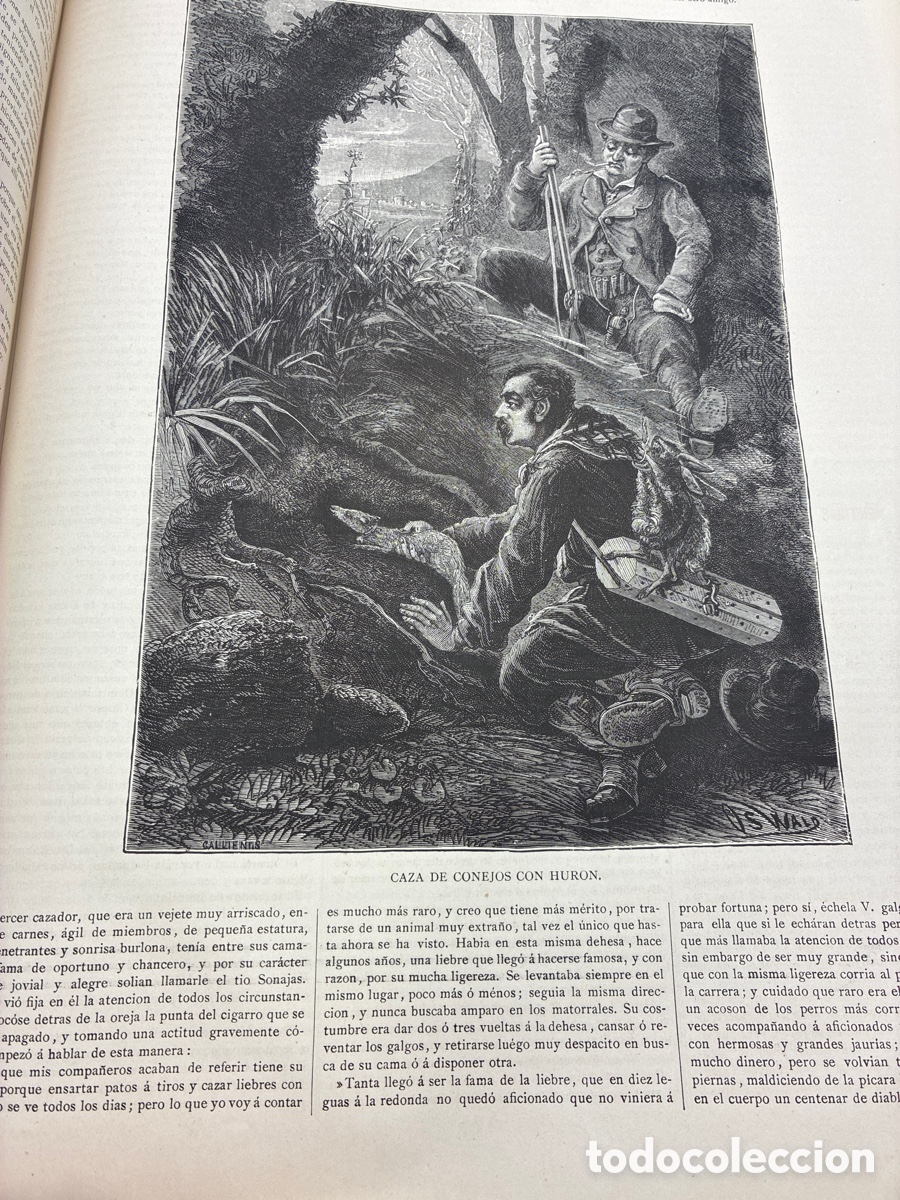 Libros antiguos: La Ilustraci&oacute;n Venatoria. A&ntilde;o 1883. - Foto 24