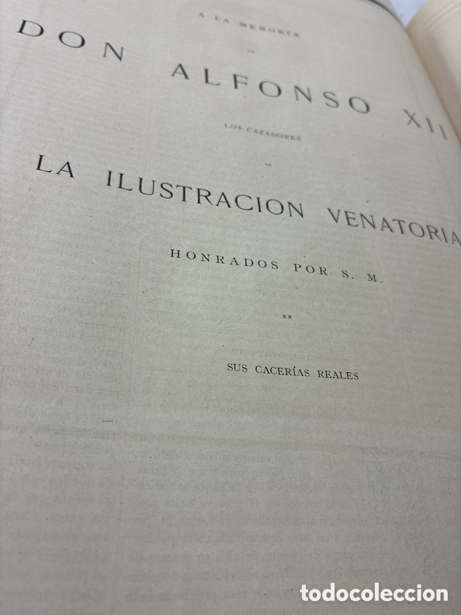 Libros antiguos: La Ilustraci&oacute;n Venatoria. A&ntilde;o 1883. - Foto 26