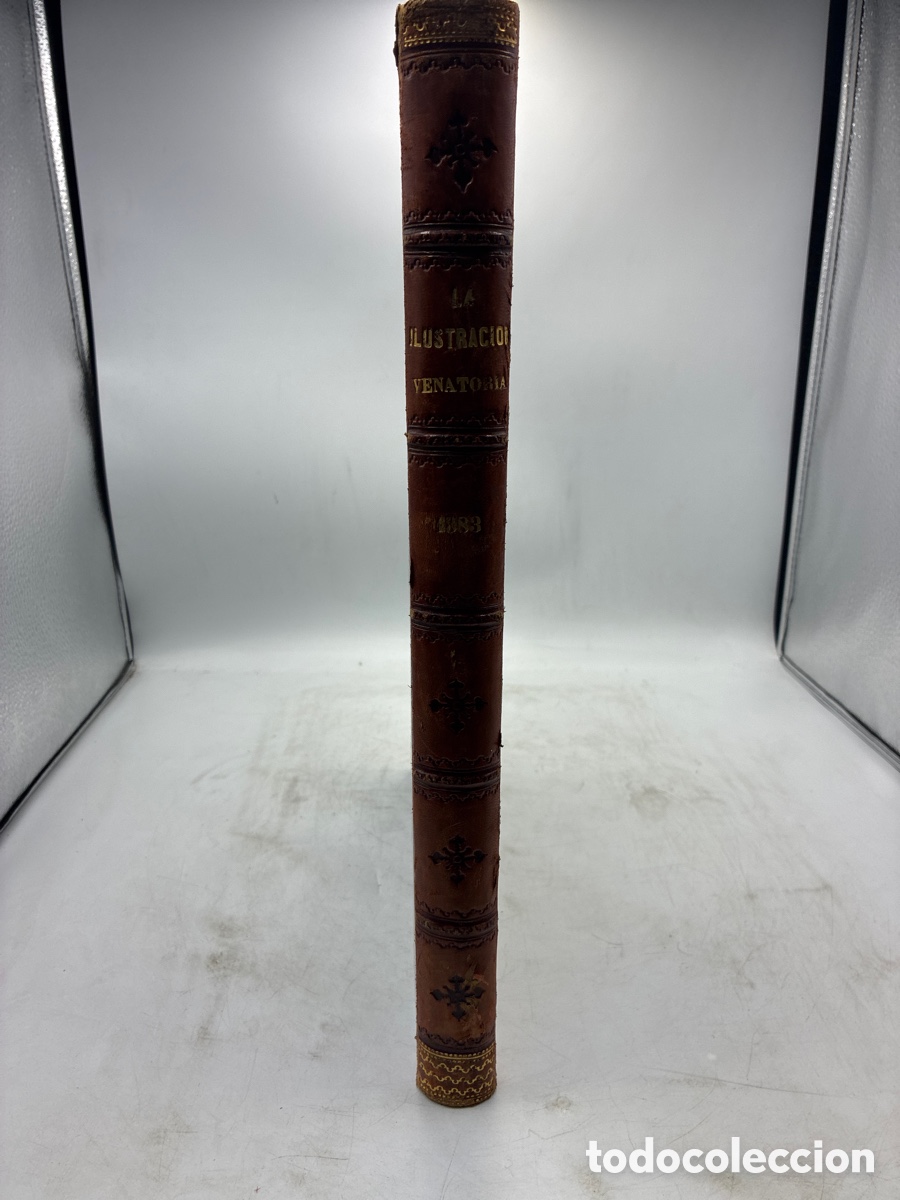 Livres anciens: La Ilustraci&oacute;n Venatoria. A&ntilde;o 1883.
