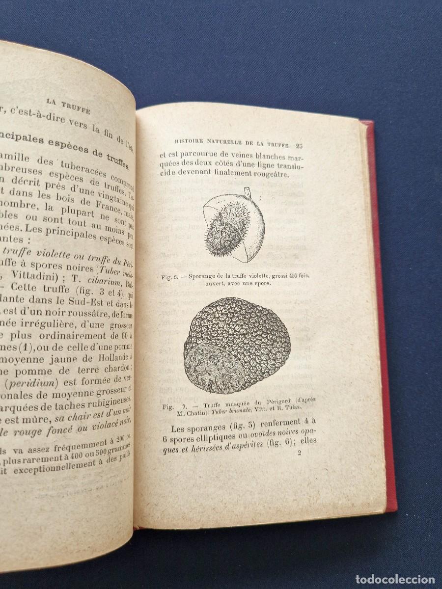 Libros antiguos: P. Mouillefert - La Truffe et sa Production (La Trufa) - 1888 - Micolog&iacute;a / Agricultura - Ilustrado