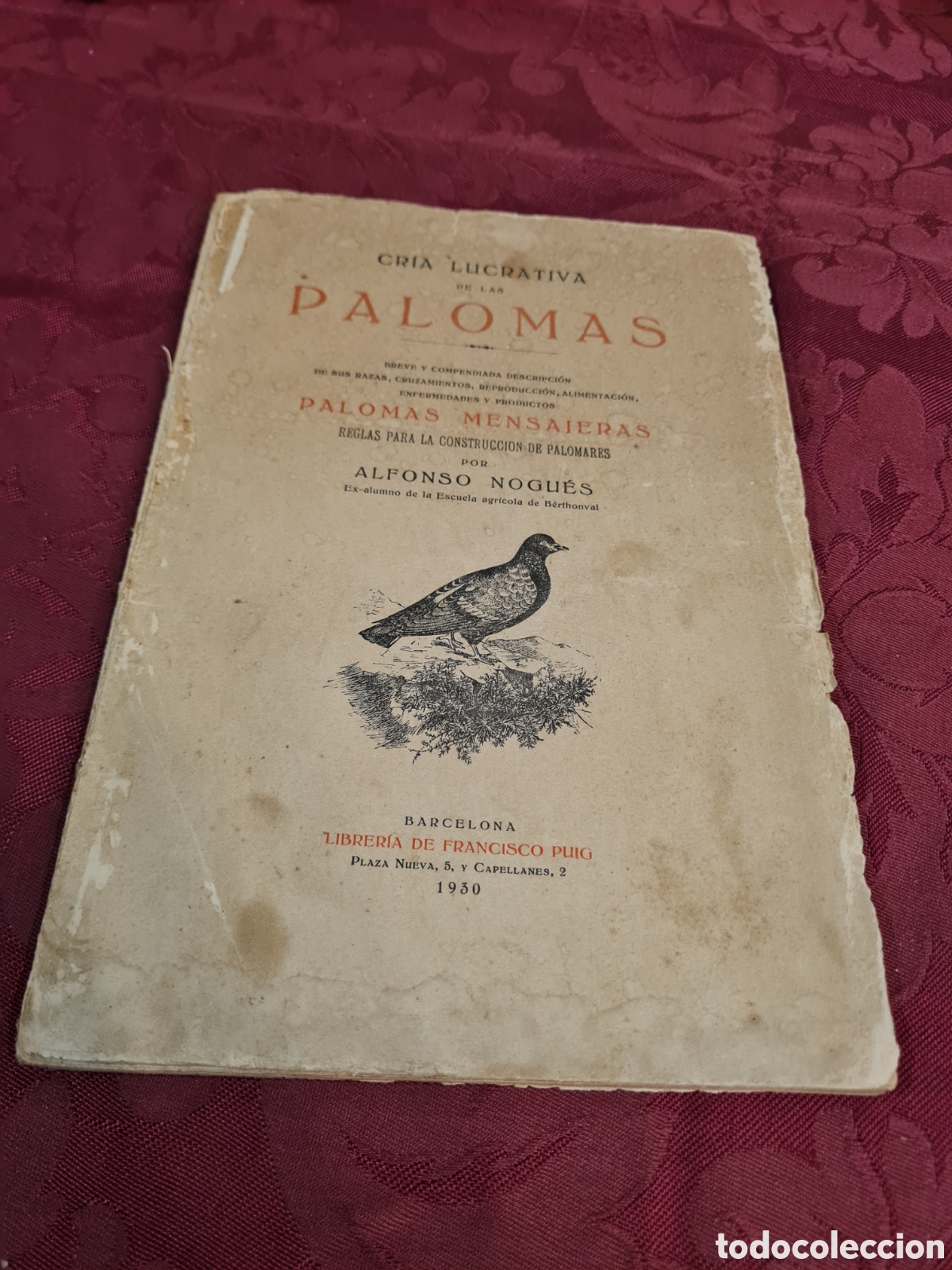 Libros antiguos: Cria lucrativa de las palomas POR ALFONSO NOGU&Eacute;S