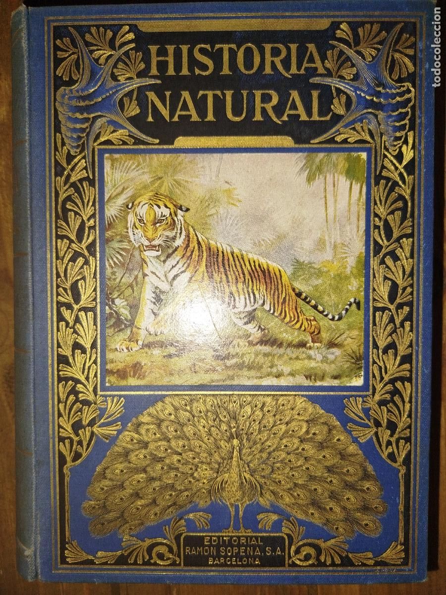 Libros antiguos: HISTORIA NATURAL POPULAR CELSO AR&Eacute;VALO . ED. SOPENA 1934