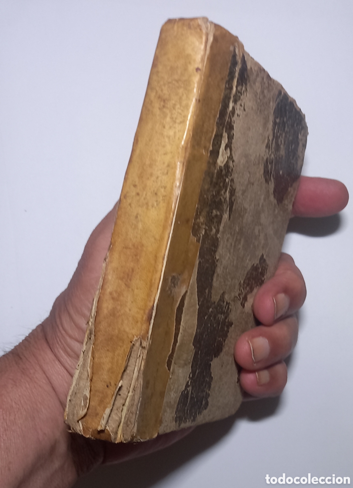 Libros antiguos: HISTORIA DE LA VIDA, HECHOS Y ASTUCIAS DEL RUSTICO BERTOLDO. 1845. - Foto 6