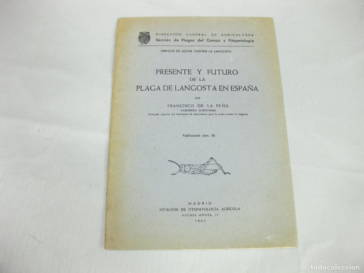 Libros antiguos: PRESENTE Y FUTURO DE LA PLAGA DE LANGOSTA EN ESPA&Ntilde;A. FRANCISCO DE LA PE&Ntilde;A. FITOPALOG&Iacute;A. MADRID 1942