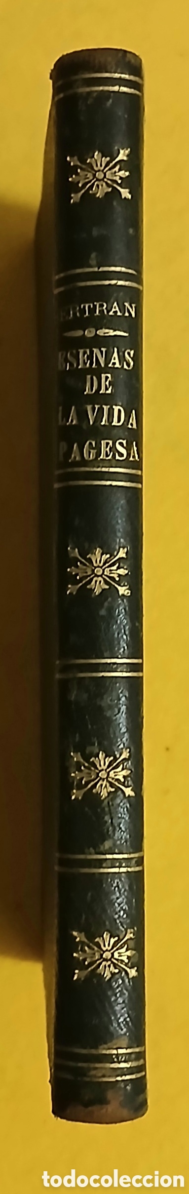 Libros antiguos: Escenas de la vida pagesa - Foto 2