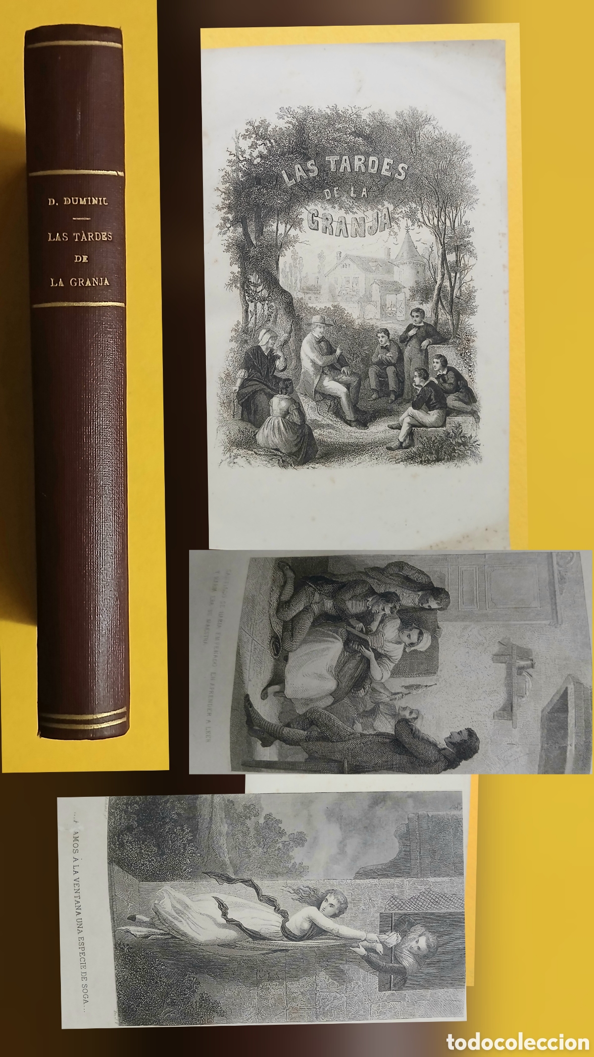 Libros antiguos: Las tardes de la Granja