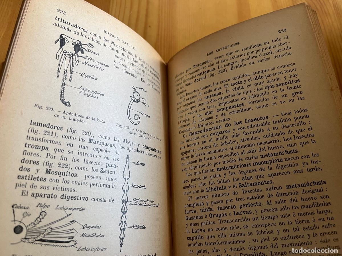 Libros antiguos: Historia natural e higiene - Foto 3
