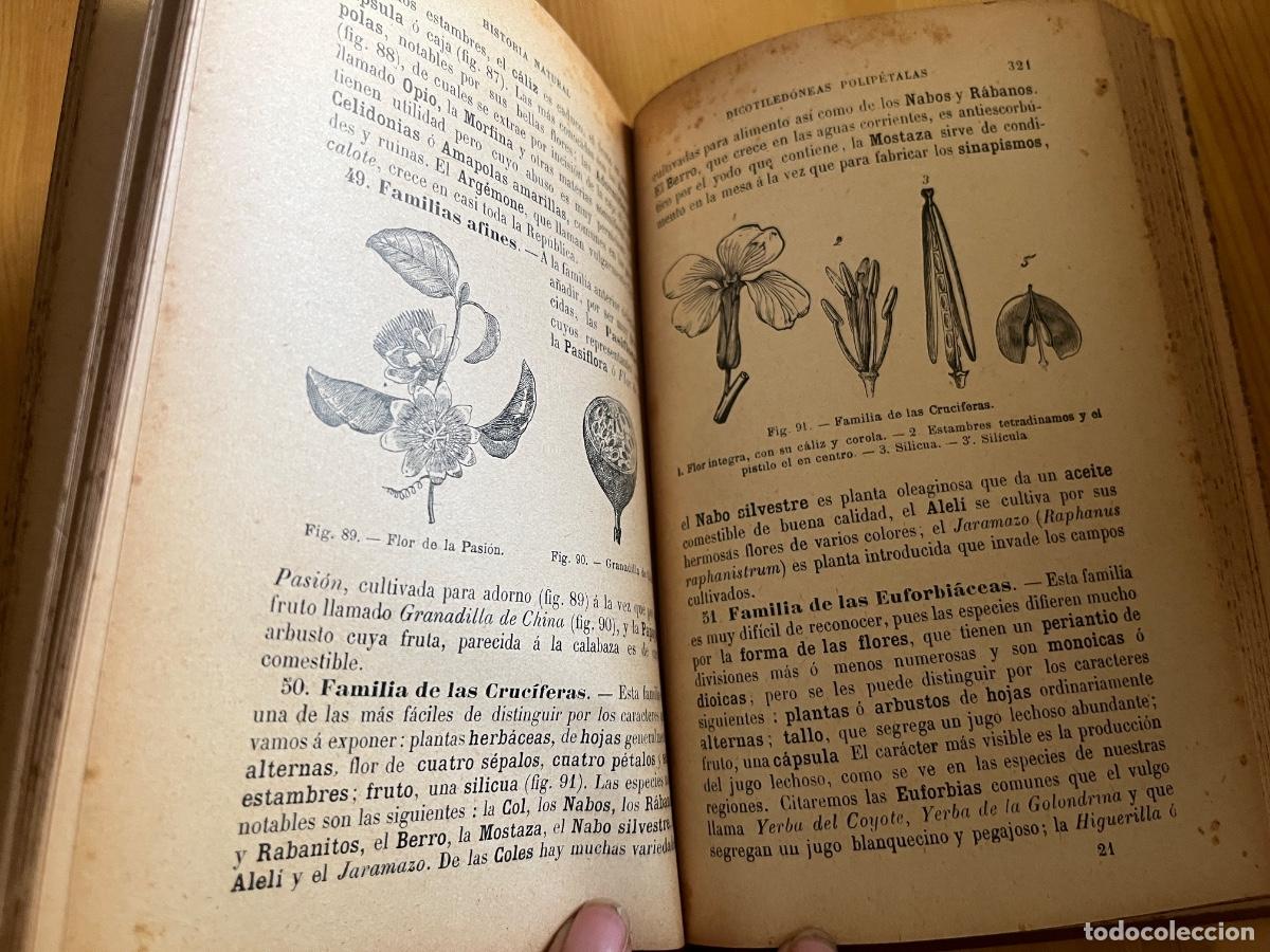 Libros antiguos: Historia natural e higiene - Foto 4