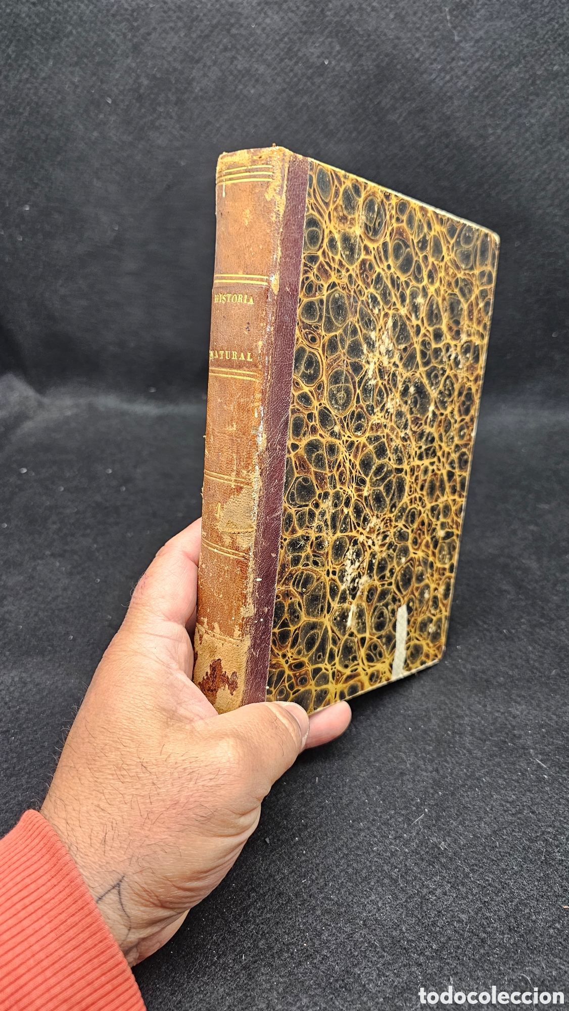Antiquarische B&uuml;cher: La historia natural 1844