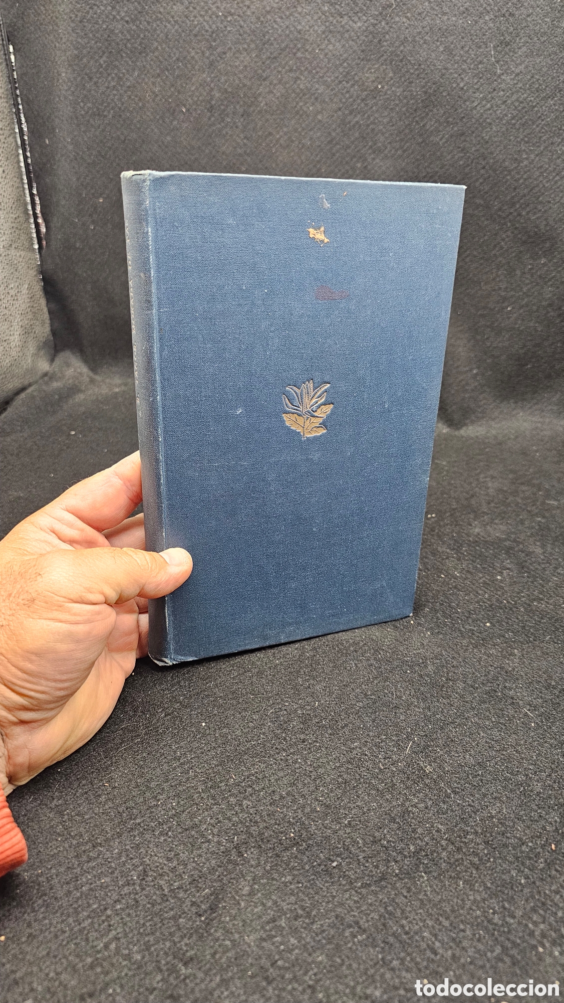 Libros antiguos: 1933 / obra escondida de Robindranaz tagor ( MORADA DE PAZ )