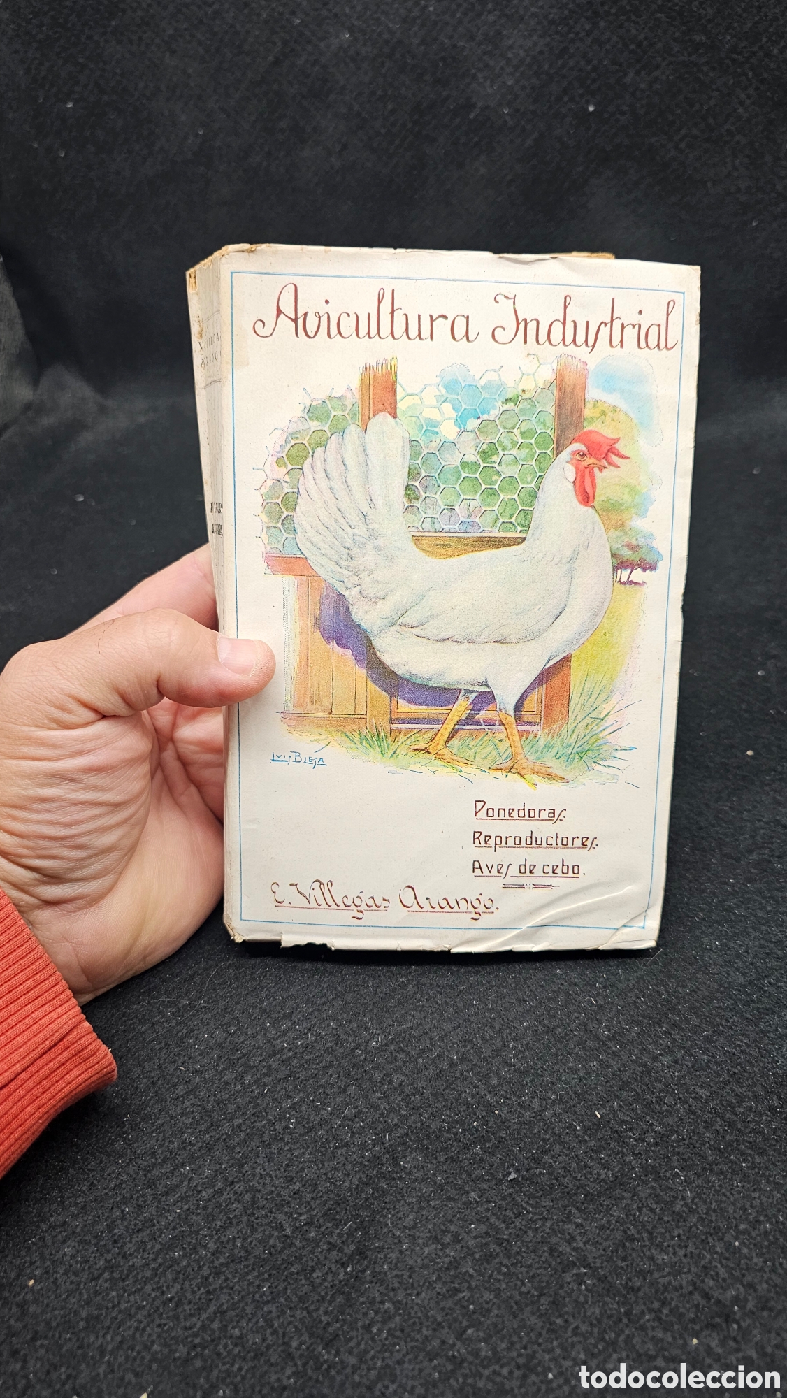 Libros antiguos: Avicultura industrial 1928