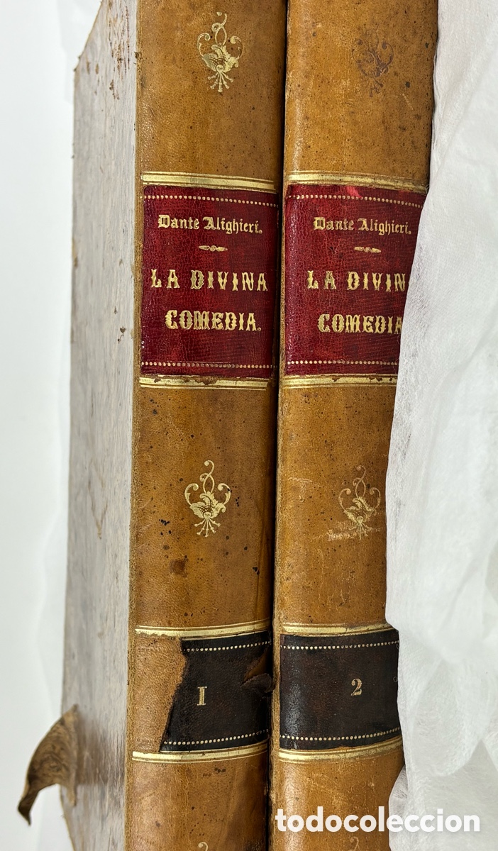 Libros antiguos: DANTE ALIGHIERI- &ldquo;LA DIVINA COMEDIA&rdquo; 1885