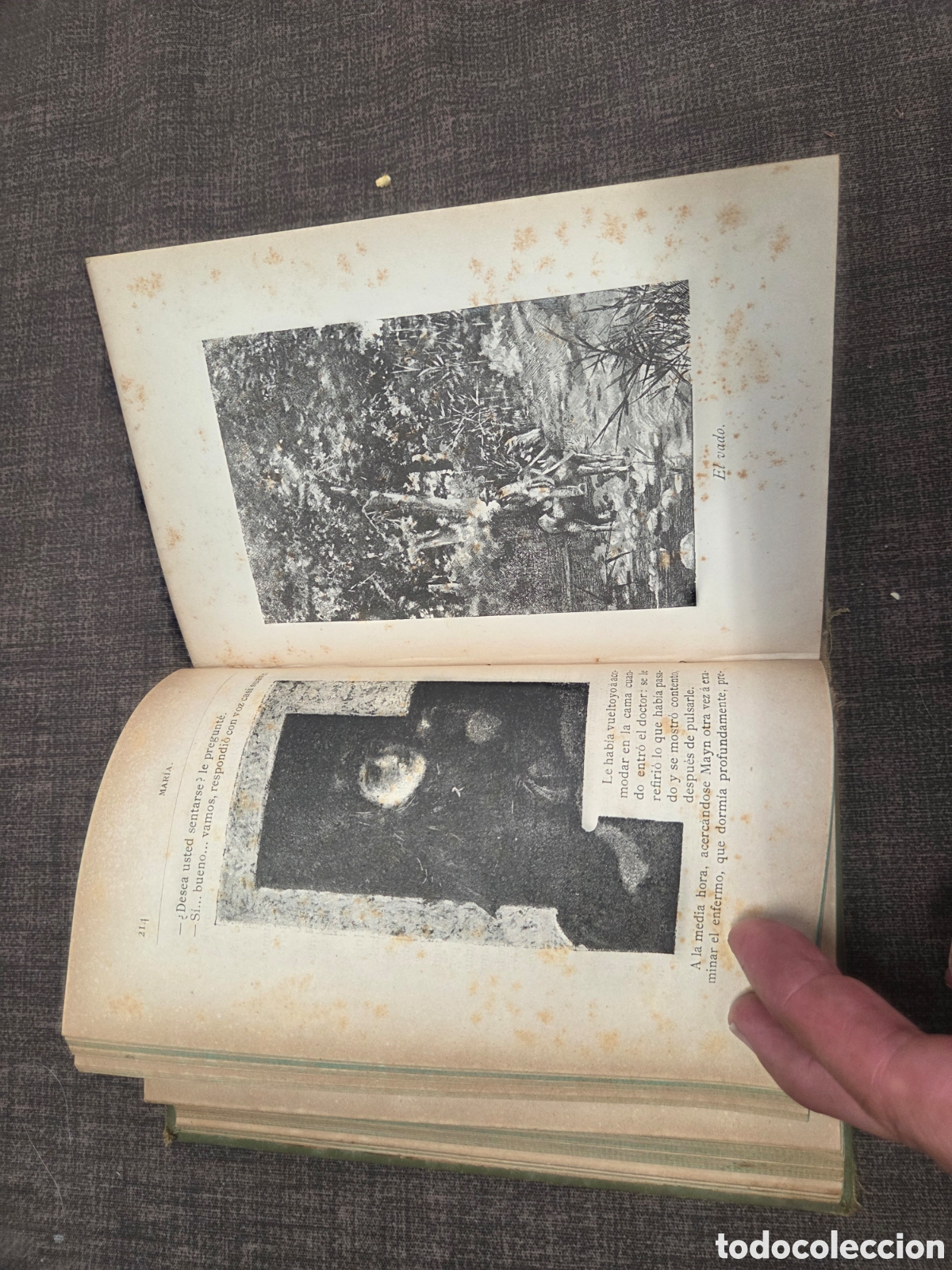 Libros antiguos: MARIA Jorge Isaacs 1883 - Foto 5