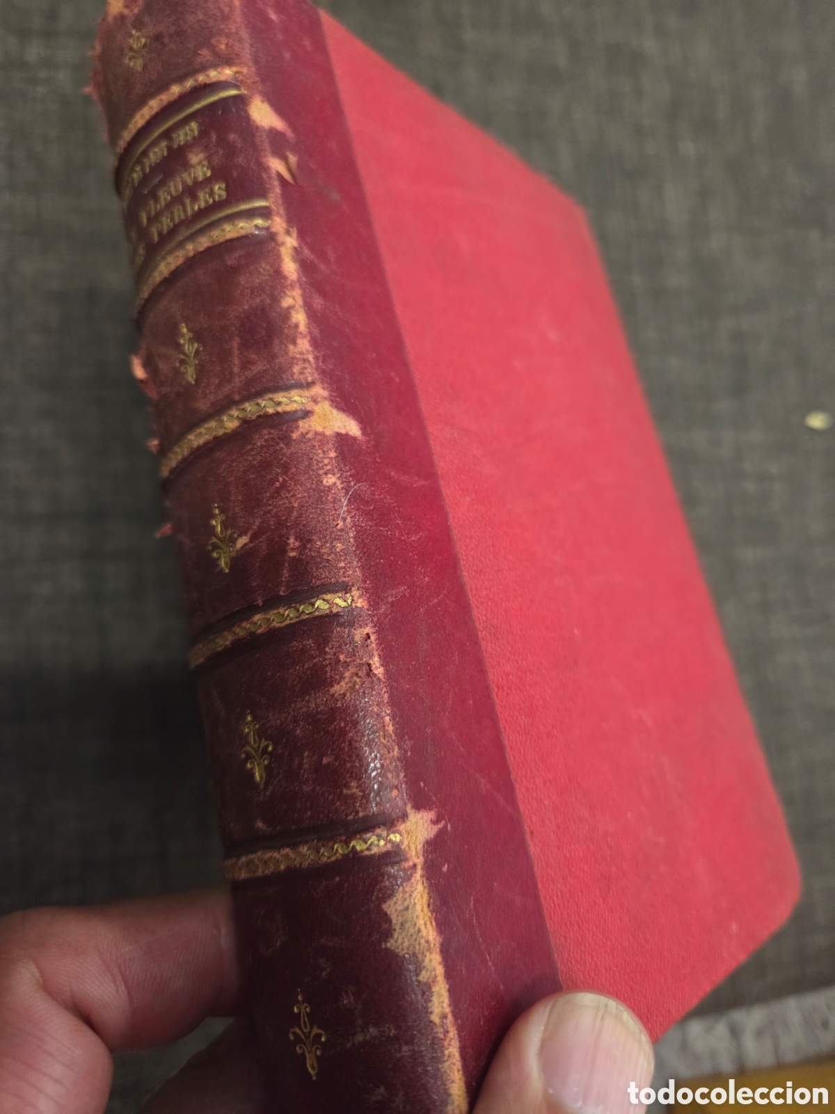 Libros antiguos: LE FLEUVE DES PERLES Ren&eacute; de Pont-Jest - Foto 2