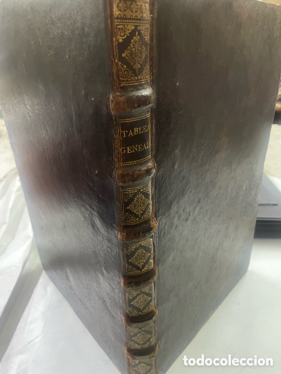 Libros antiguos: Tableaux Genealogiques ou Les Seize Quartiers 1683