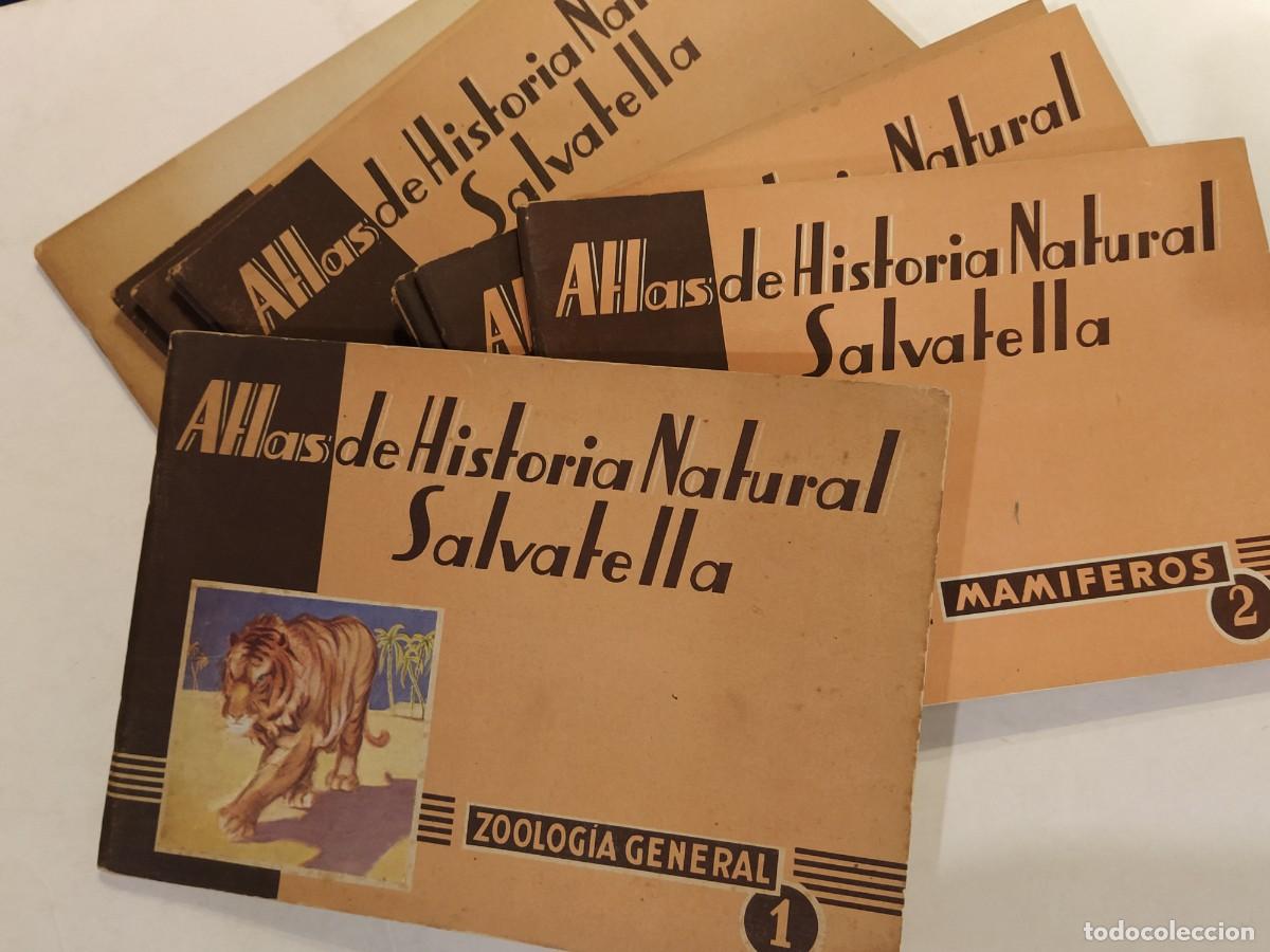 Libros antiguos: ATLAS DE HISTORIA NATURAL SALVATELLA - COMPLETO 11 ALBUMES MUY ILUSTRADOS -VER FOTOS