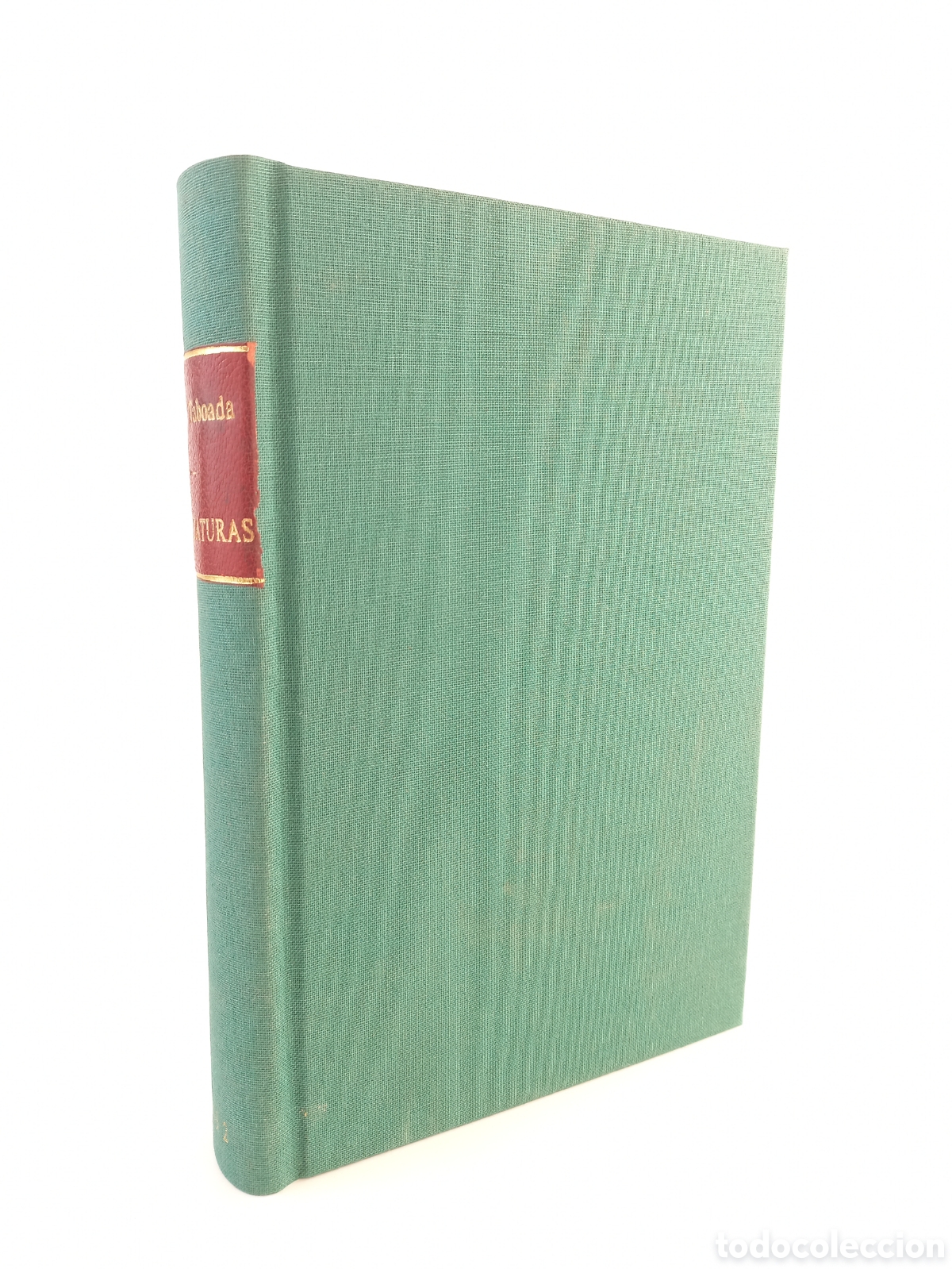 Libros antiguos: Caricaturas. Luis Taboada. Angel Pons. Manuel Lasanta, 1892. Ilustrado. Cubierta Original.