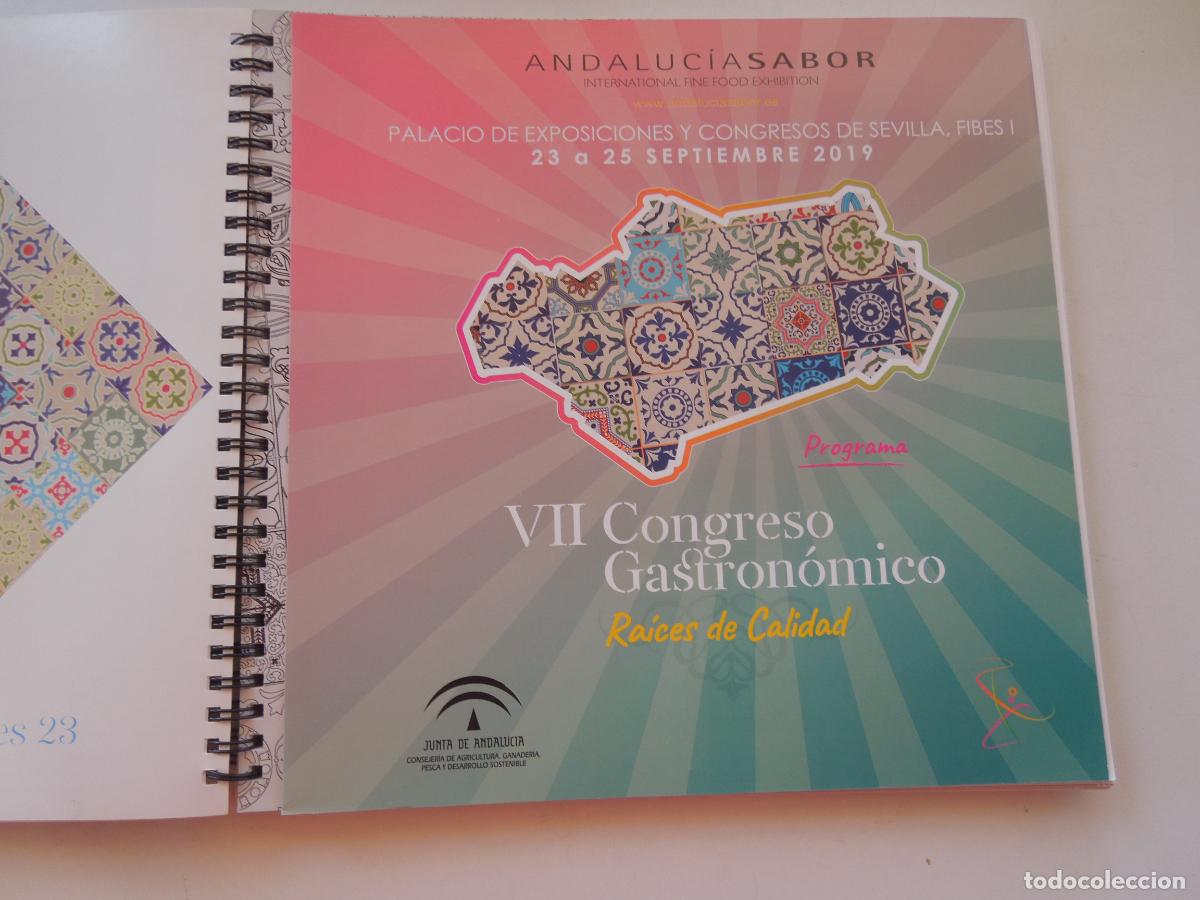 Libros antiguos: ANDALUCIA SABOR - VII CONGRESO GASTRON&Oacute;MICO -2019- RAICES DE CALIDAD - LIBRO DE PONENCIAS -