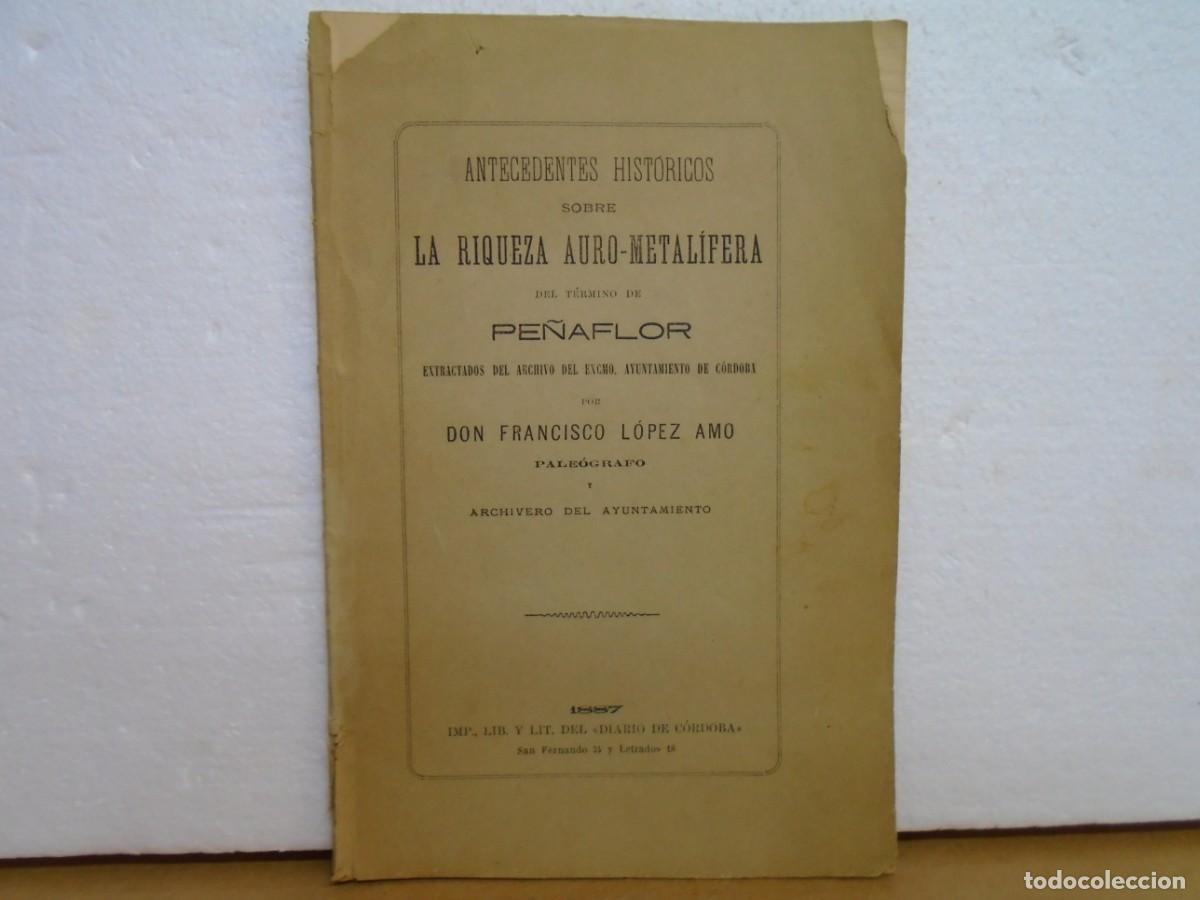 Libros antiguos: ANTECEDENTES HISTORICOS SOBRE LA RIQUEZA AURO-METALIFERA DEL TERMINO DE PE&Ntilde;AFLOR/CORDOBA 1887.RARO.