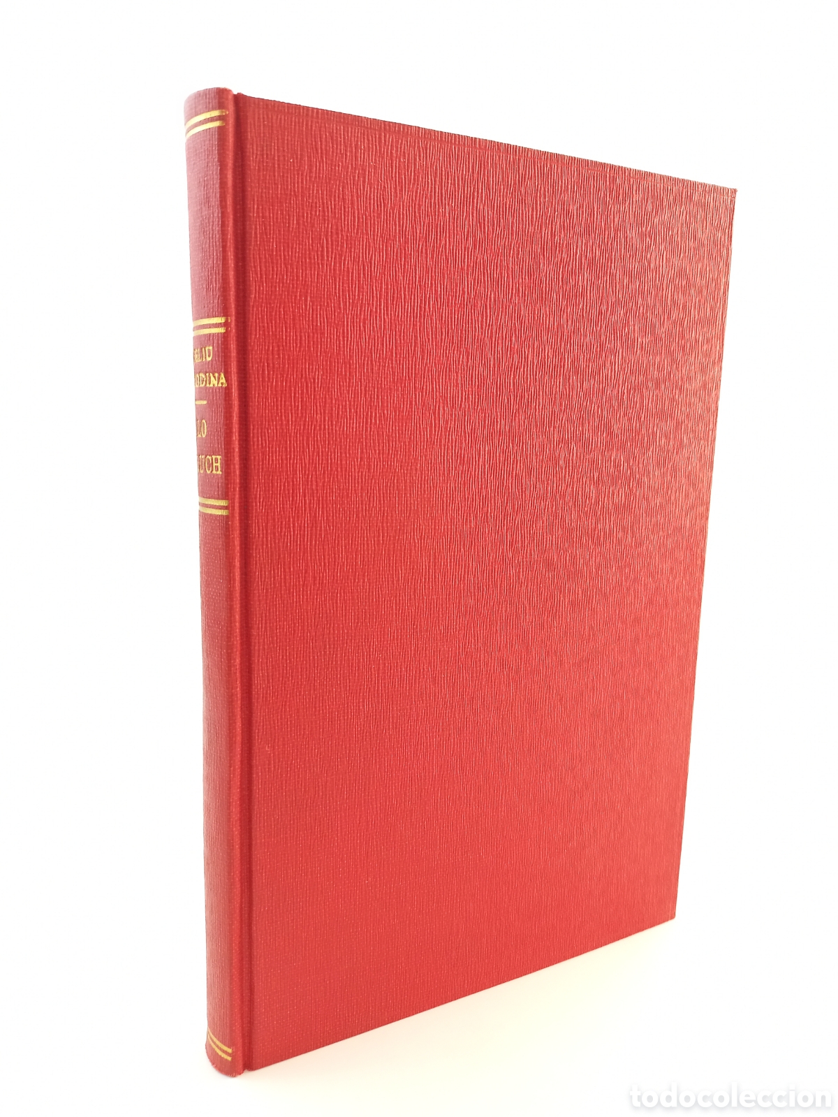 Libros antiguos: Lo Bruch. Joseph Feliu y Codina. La Renaixensa, 1880. Catal&aacute;n.