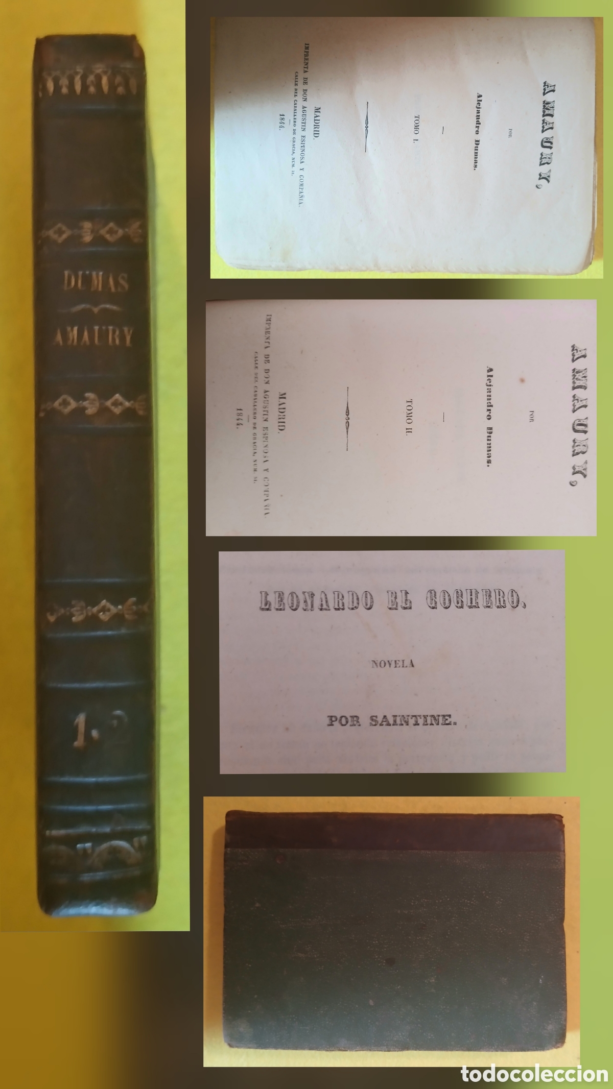 Livres anciens: Amaury, Alejandro Dumas 1844 y Leonardo el cochero por Saintine.