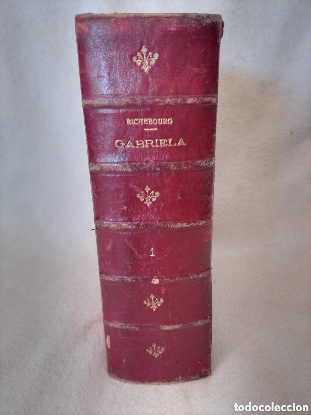 Libros antiguos: Gabriela - Richebourg - Tomo 1.