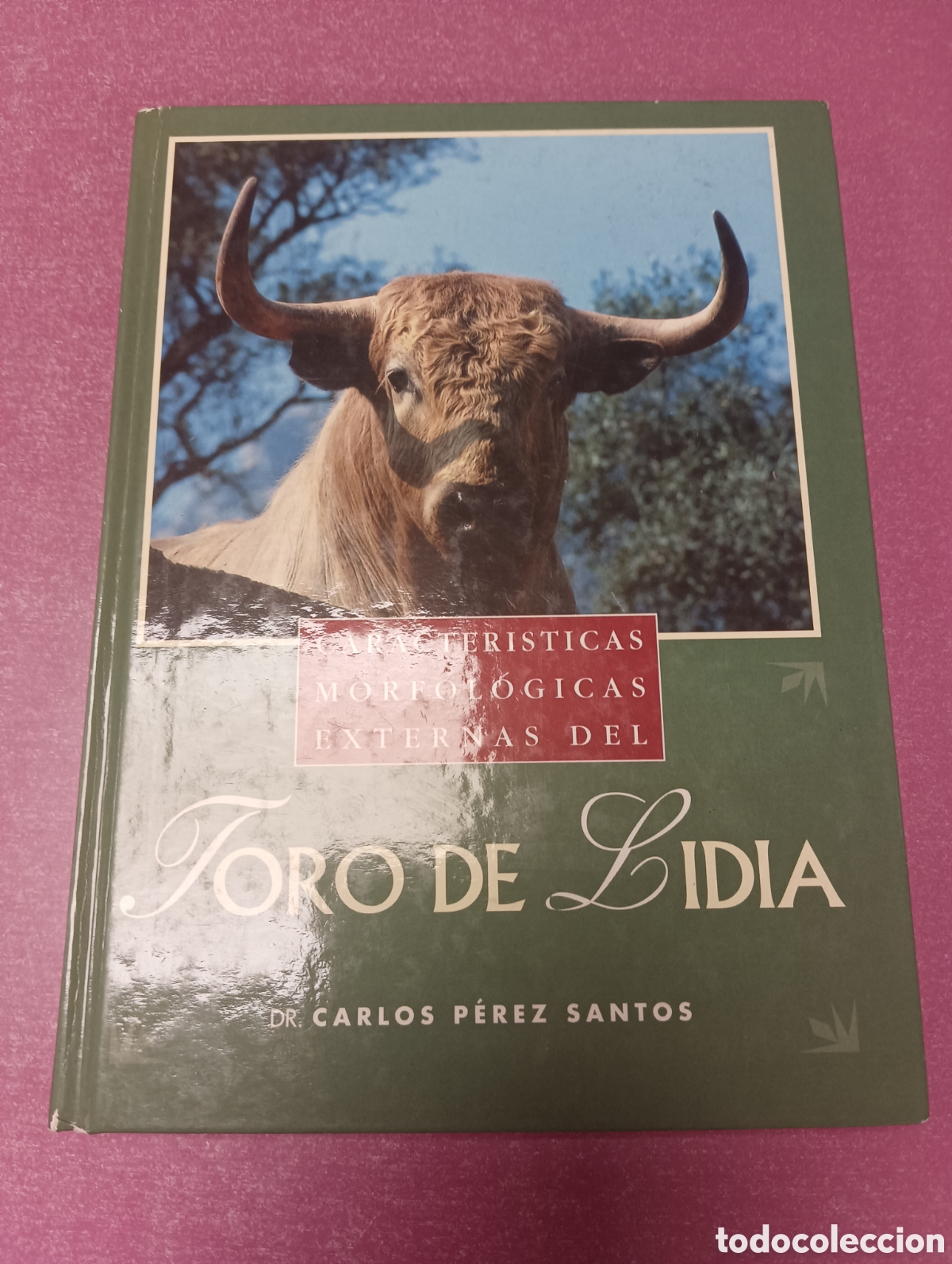 Libros antiguos: Toro de Lidia Dr. Carlos Perez Santos