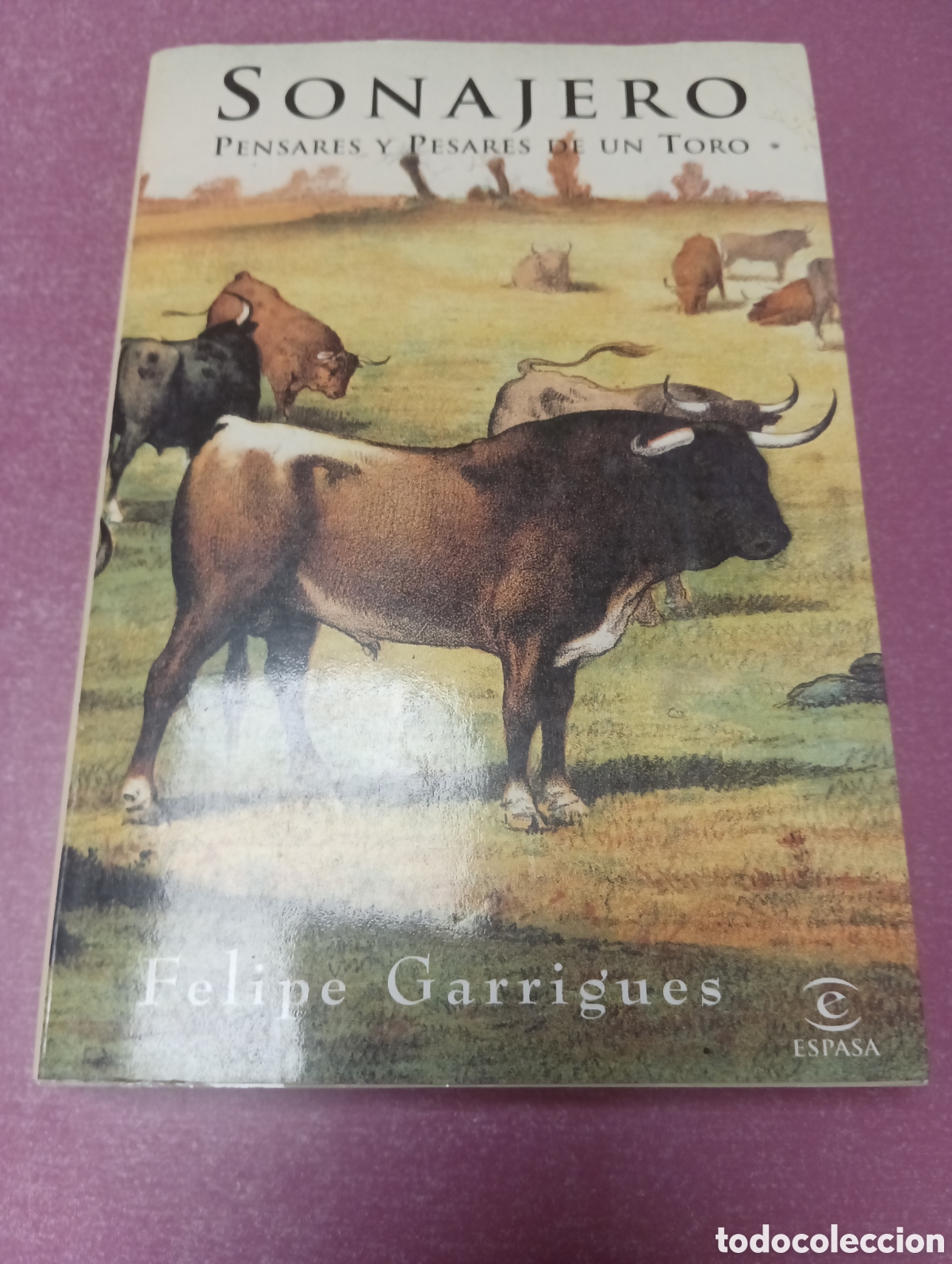 Libros antiguos: Sonajero Pensares y pesares de un toro Felipe Garrigyes ESPASA