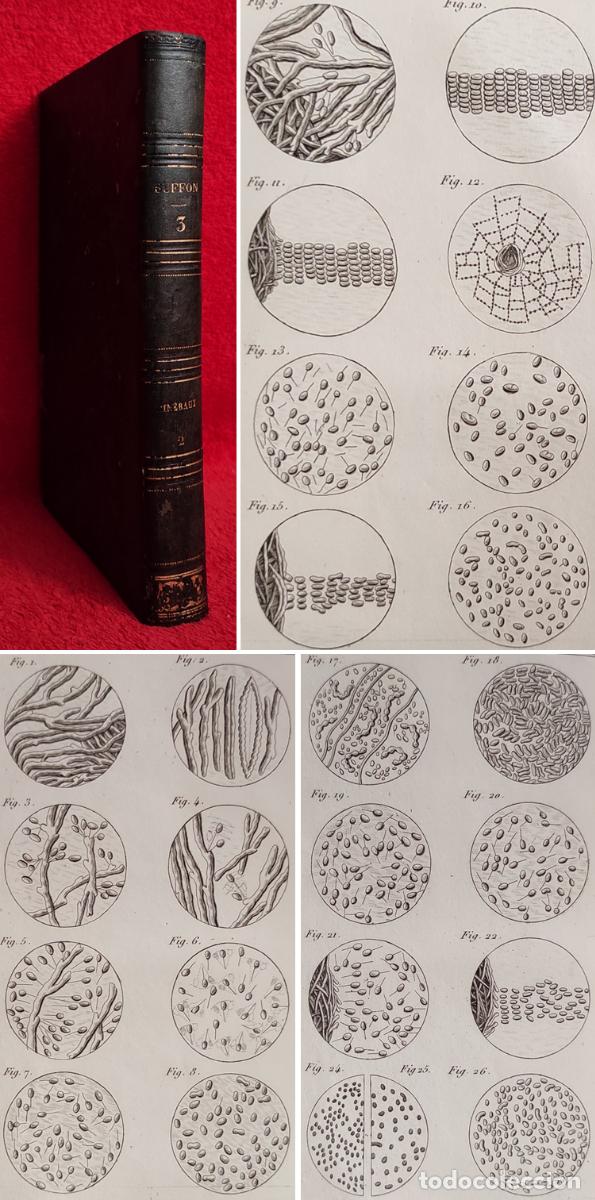 Libros antiguos: A&Ntilde;O 1844 - BUFFON - BIOLOG&Iacute;A, MINERALOG&Iacute;A Y BOT&Aacute;NICA - 4 L&Aacute;MINAS GRABADAS - GRABADOS