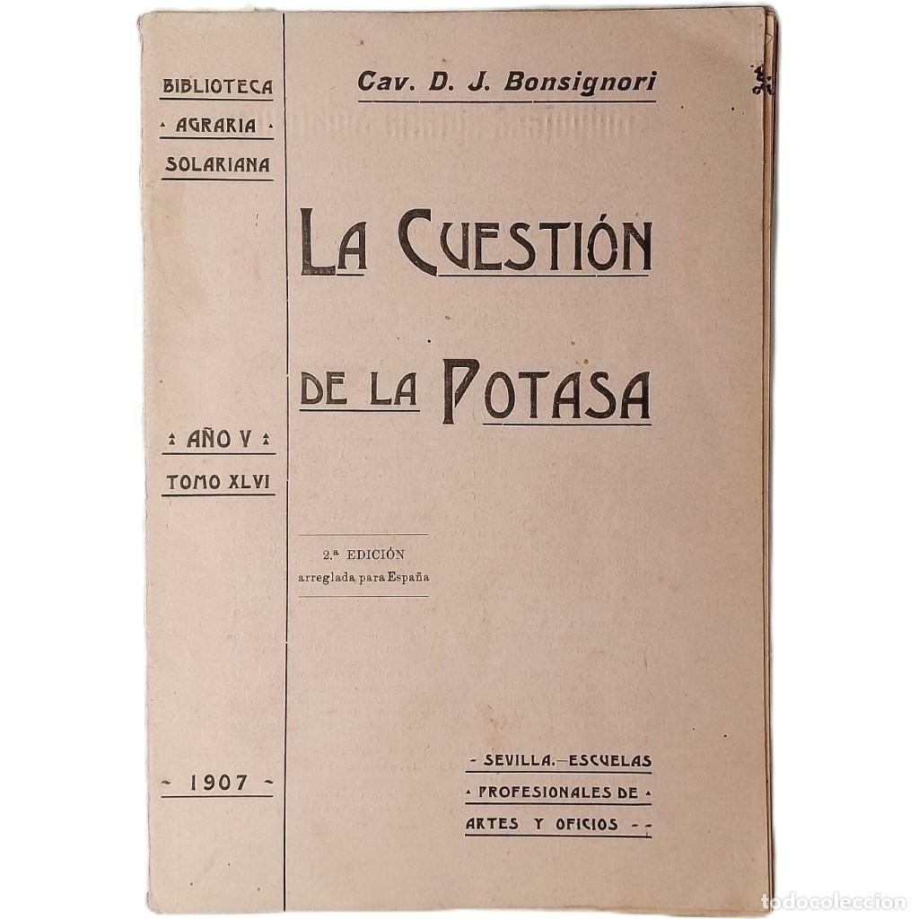 Libros antiguos: LA CUESTI&Oacute;N DE LA POTASA. Bonsignori, Cav. D. J.
