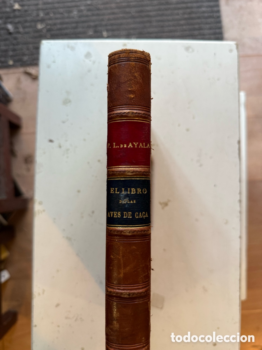 Libros antiguos: 1869. El libro de las aves de ca&ccedil;a - Ed. Nominada [50/234] - Foto 3