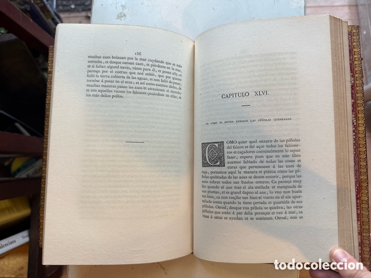 Libros antiguos: 1869. El libro de las aves de ca&ccedil;a - Ed. Nominada [50/234] - Foto 5