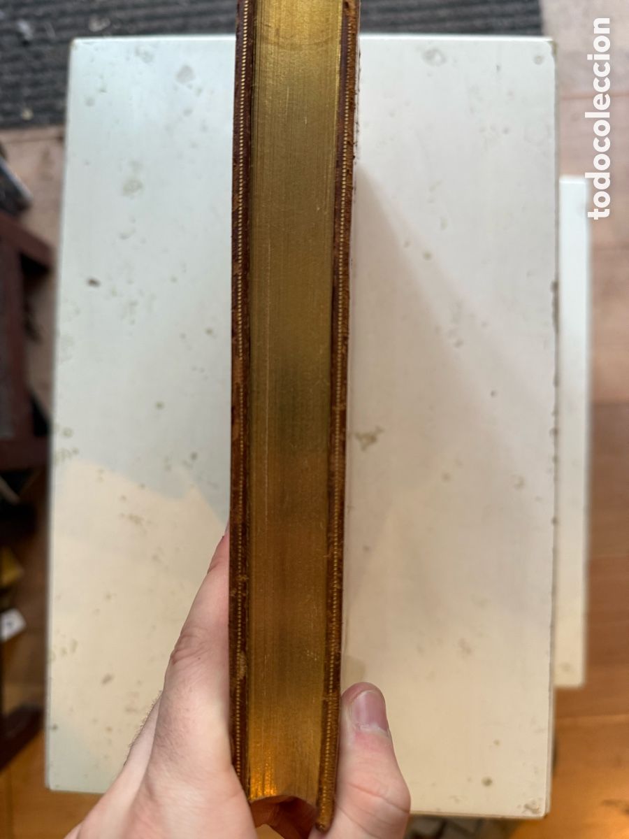 Libros antiguos: 1869. El libro de las aves de ca&ccedil;a - Ed. Nominada [50/234] - Foto 9
