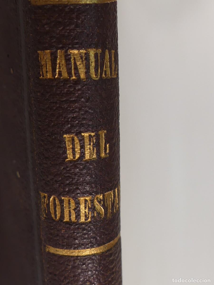 Old books: Libro Antiguo - Manual del Forestal - A&ntilde;o 1877