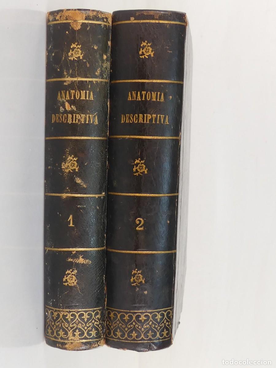 Libros antiguos: Libro Antiguo - Anatomia Descriptiva - Dos tomos - A&ntilde;o 1868