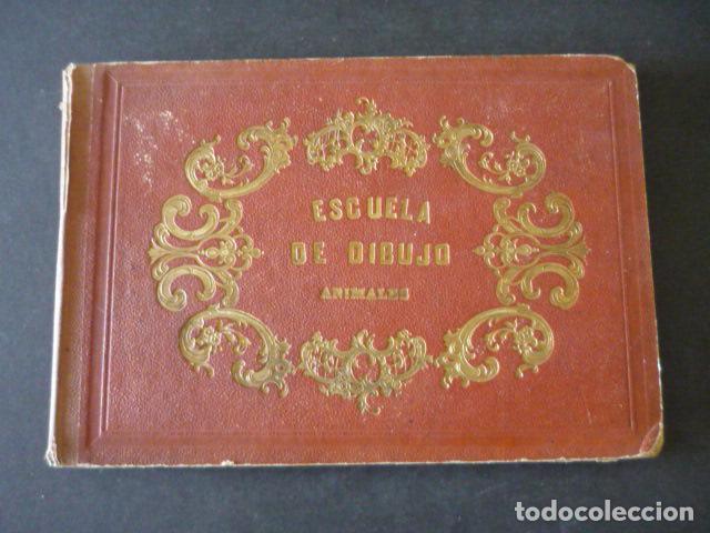 Libros antiguos: ESCUELA DE DIBUJO ANIMALES VICTOR ADAM PARIS