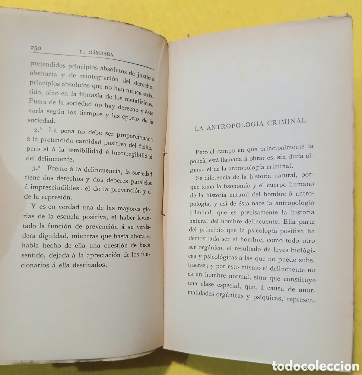 Libros antiguos: La Polic&iacute;a Dr. L. G&aacute;mbara - Foto 8