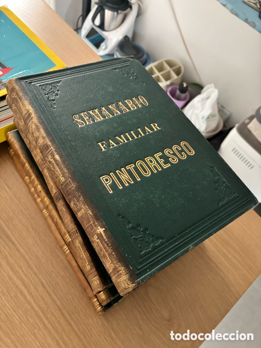 Libros antiguos: Semanario familiar pintoresco