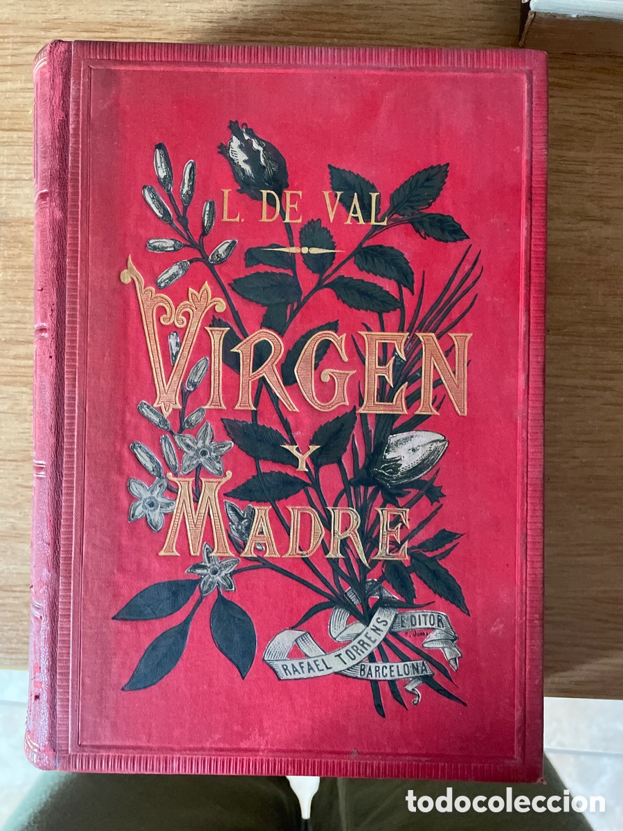 Libros antiguos: VIRGEN Y MARTIR. Luis del Val. Tomo l
