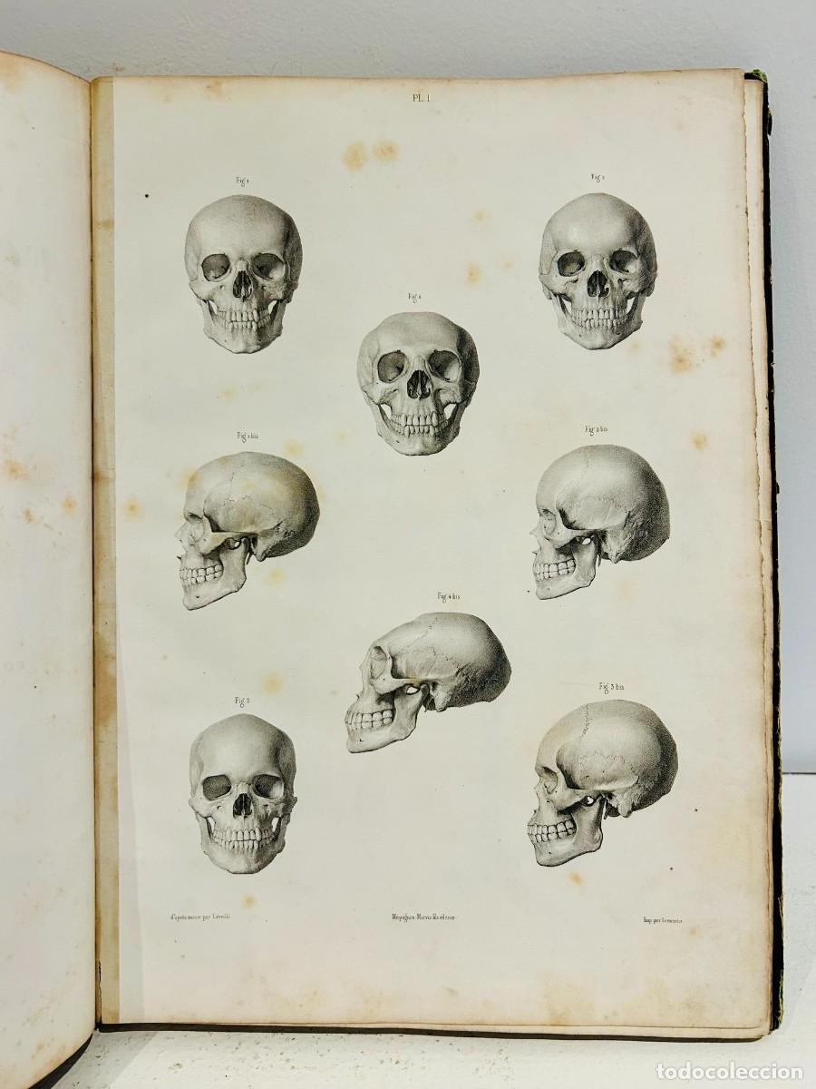 Libros antiguos: Libro con grabados de anatom&iacute;a. Siglo XIX. Francia 1845
