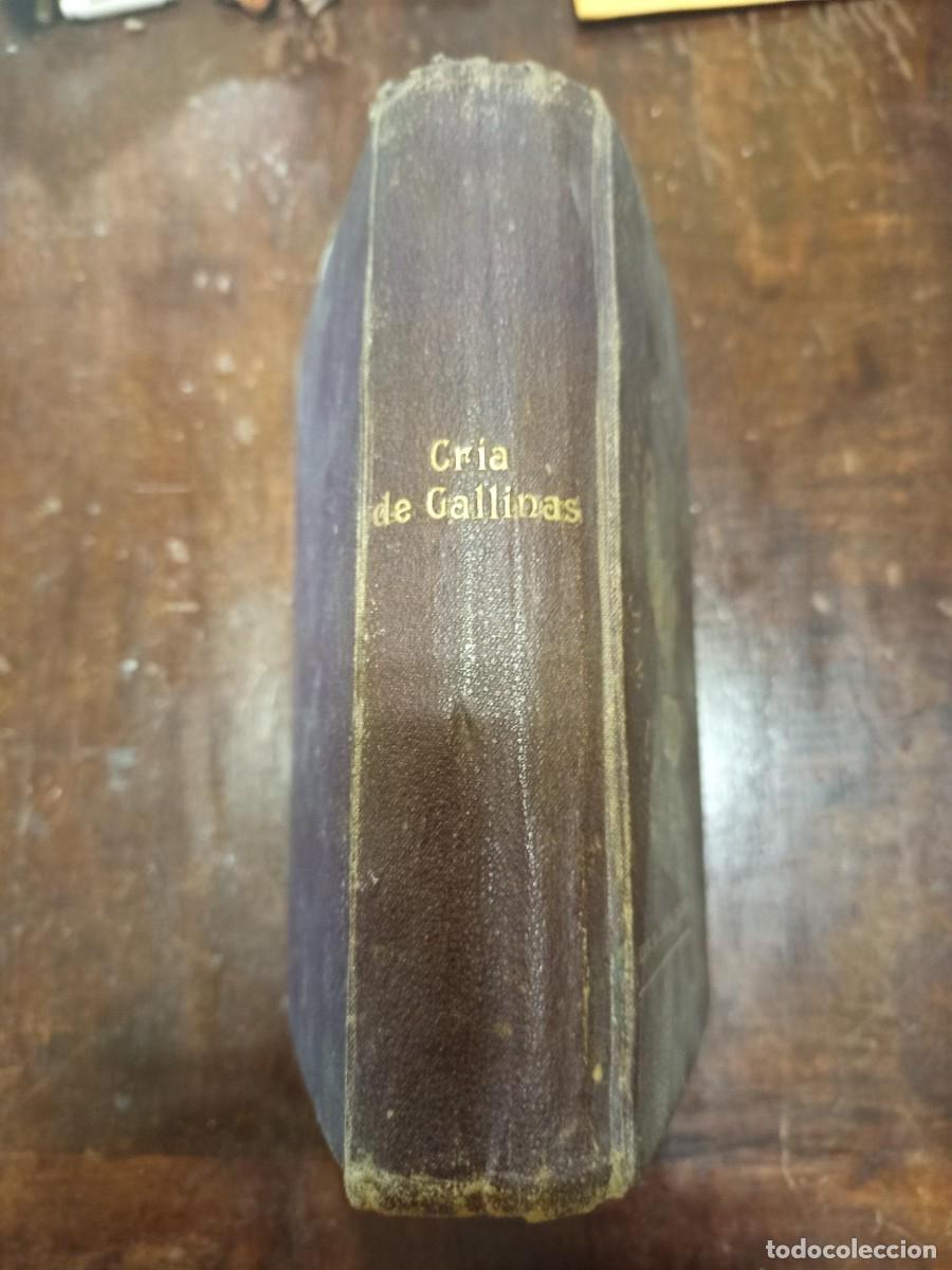 Libros antiguos: CRIA LUCRATIVA DE LAS GALLINAS - Foto 2