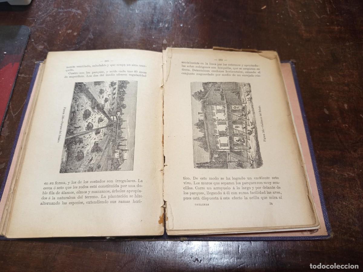 Libros antiguos: CRIA LUCRATIVA DE LAS GALLINAS - Foto 5