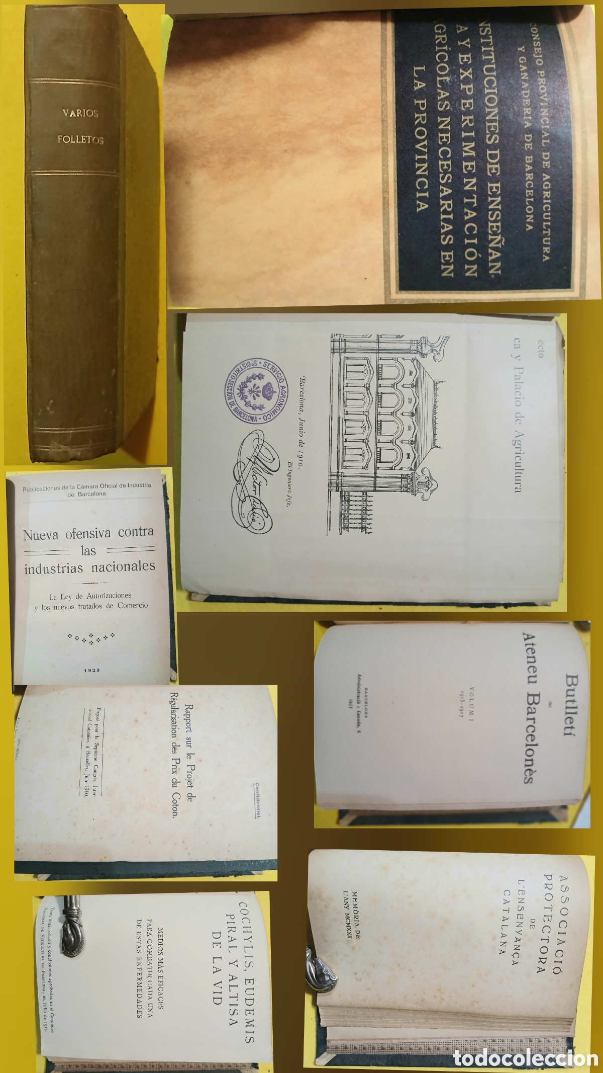 Libros antiguos: obras varias, instituciones de ense&ntilde;anza y experimentaci&oacute;n agr&iacute;colas necesarias en la provincia...