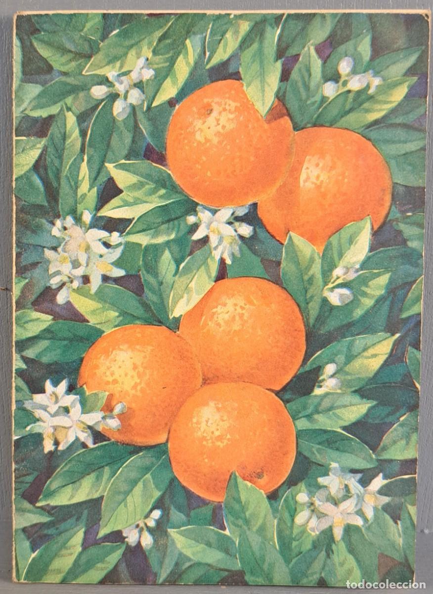 Libros antiguos: Libro &ldquo;Oranges. L&rsquo;art de les appr&ecirc;ter et de les savourer&rdquo; a&ntilde;o 1934
