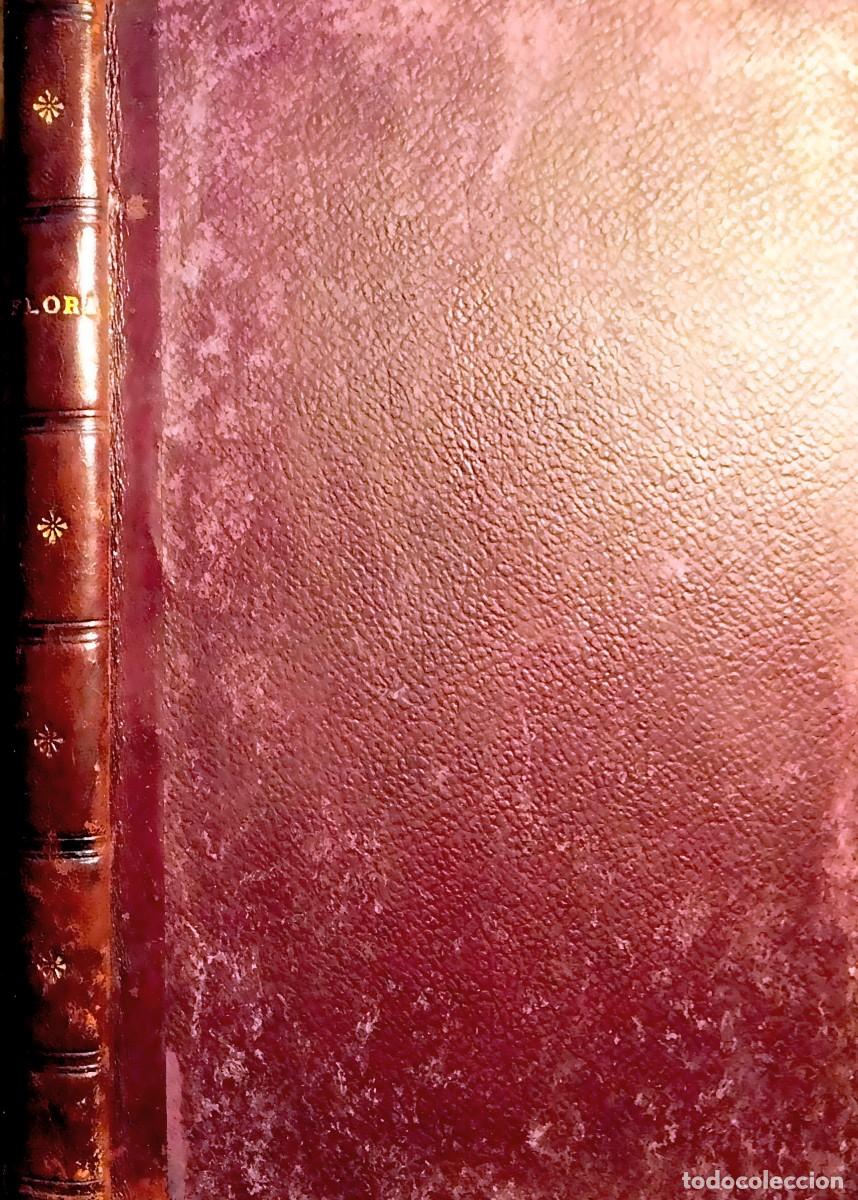 Libros antiguos: FLORA, REVISTA MENSUAL DE JARDINER&Iacute;A. N&Uacute;MERO 1 AL 17 (A&Ntilde;O, I, II Y III - 1913, 1914 Y 1915)