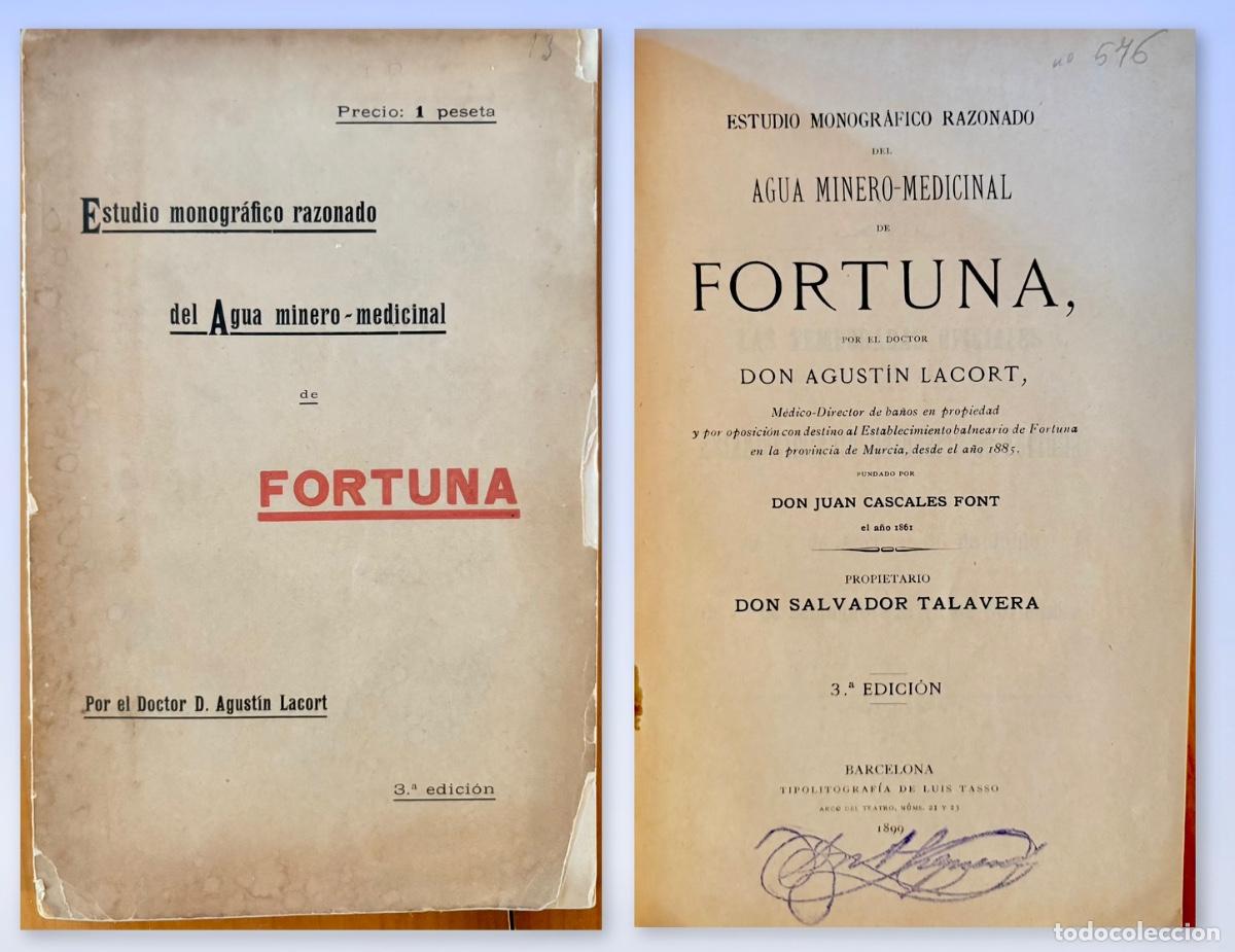 Libros antiguos: FORTUNA- MURCIA - ESTUDIO AGUA MINERO MEDICINAL- AGUSTIN LACORT- 1899
