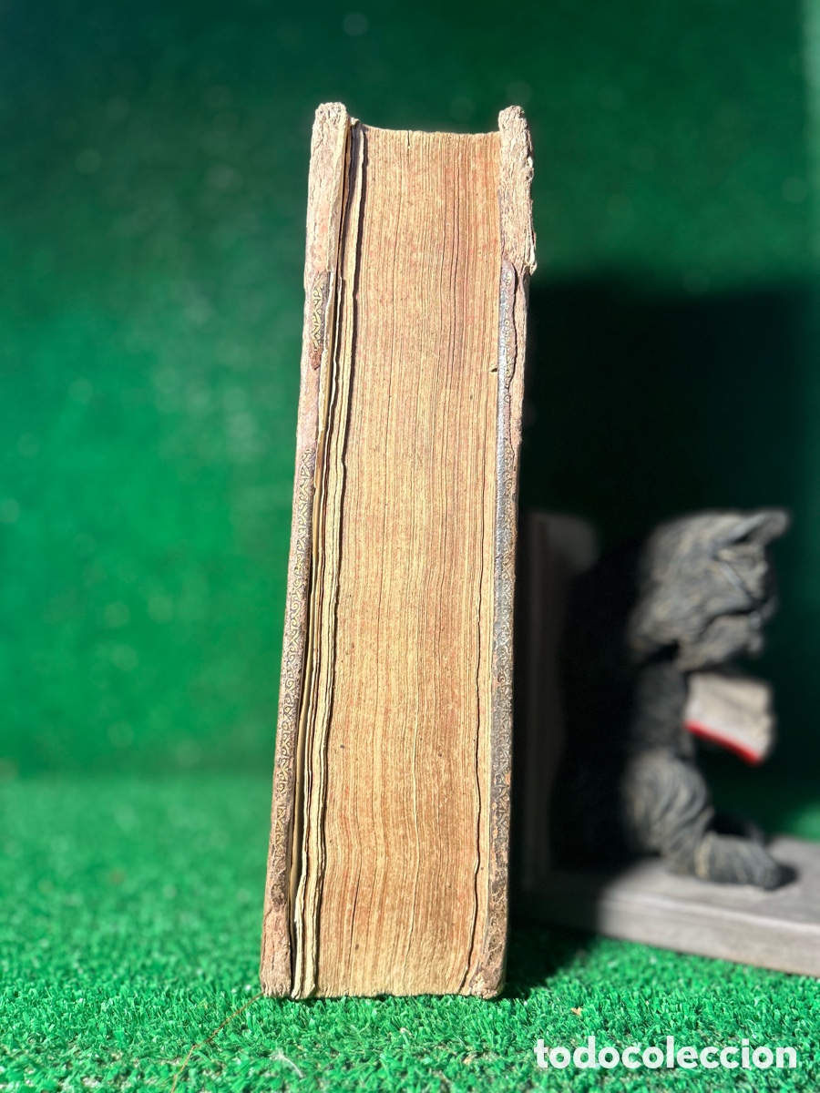 Libros antiguos: SUETONII OPERA OMNIA - 1684 - B4 - Foto 5