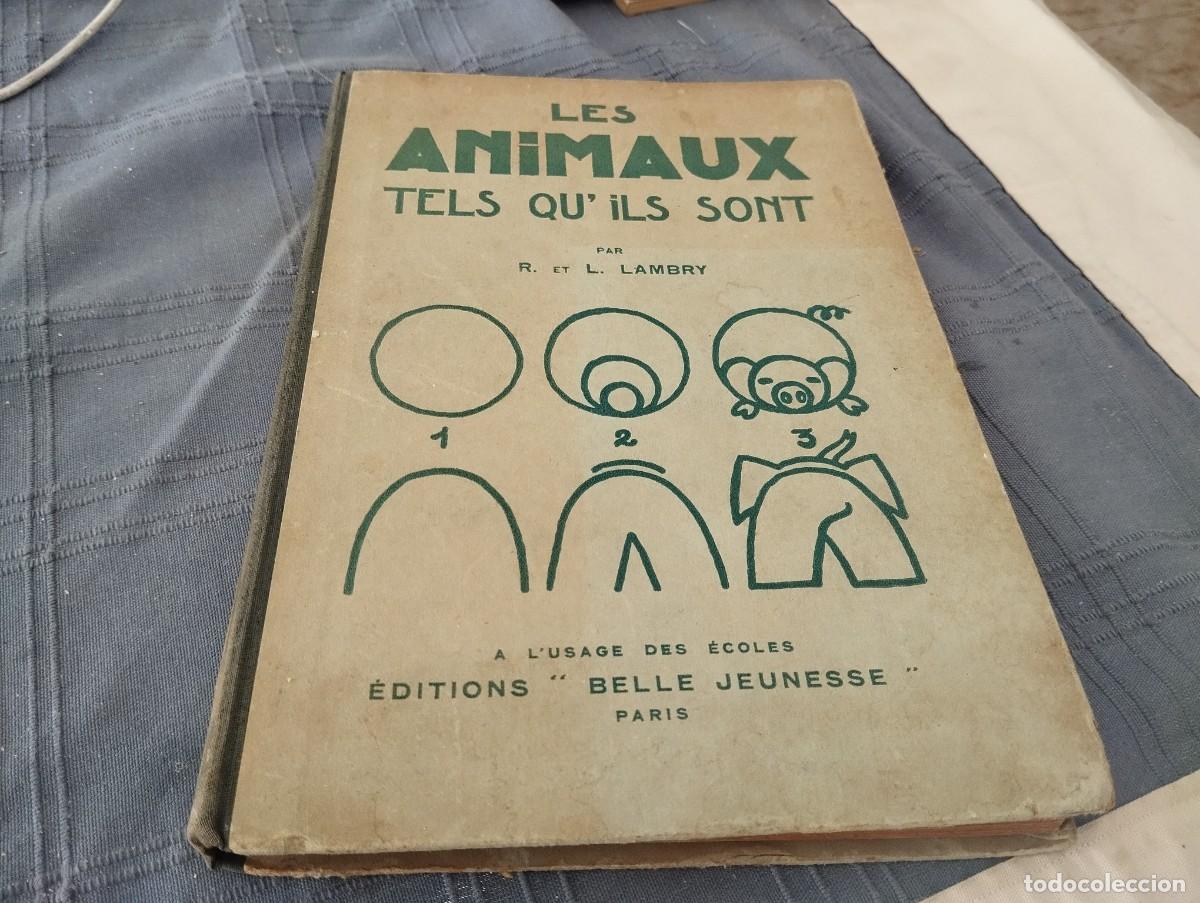 Libros antiguos: LES ANIMAUX TELS QU'ILS SONT / L. LAMBRY 1&ordf; EDICI&Oacute;N A&Ntilde;OS 30 LUBRO DIBUJO FRANC&Eacute;S MUY DIFICIL!!!