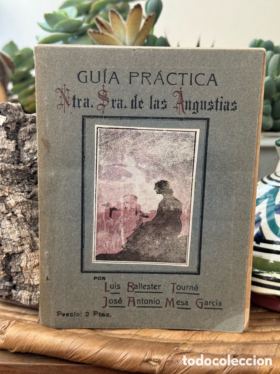 Libros antiguos: Gu&iacute;a Pr&aacute;ctica de Granada 1890 &ndash; Ballester Tourn&eacute; y Mesa Garc&iacute;a &ndash; Original siglo XIX